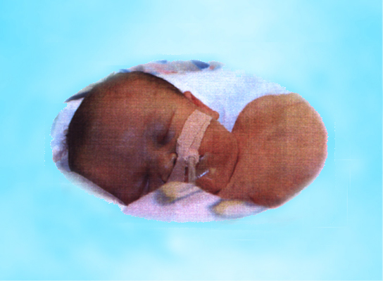 Madison Mackenzie Helms
